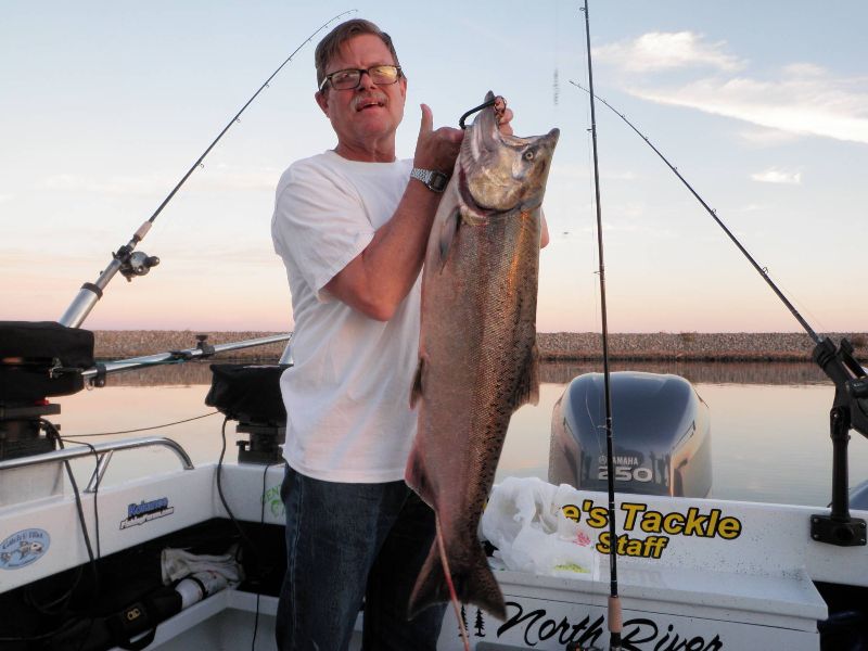 Salmon@Sacramento/SanJoaquin Delta