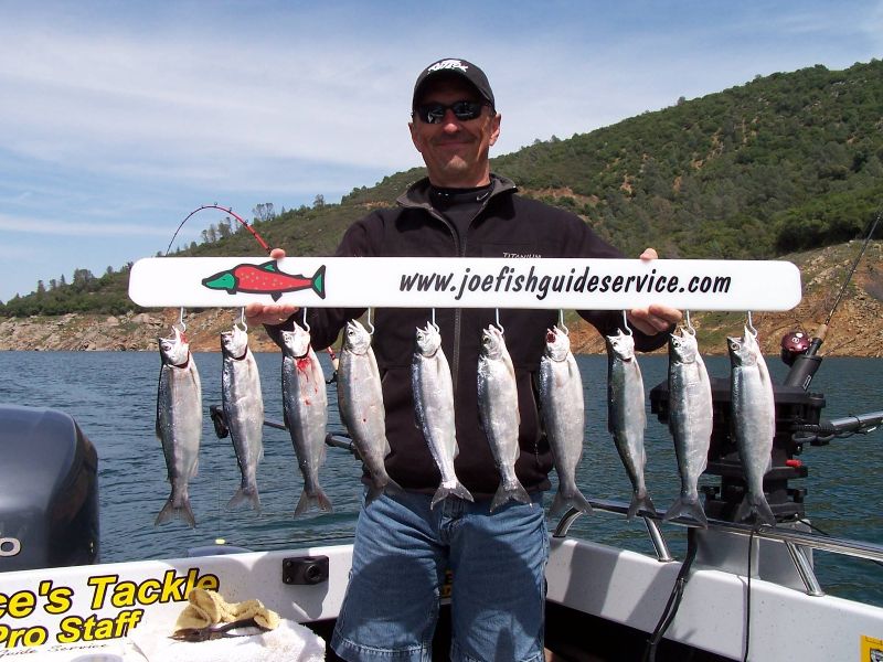 Kokanee@Melones