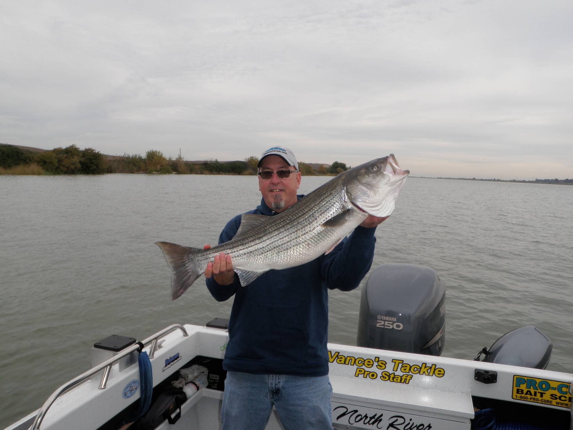 Striper@Sacramento/SanJoaquin Delta