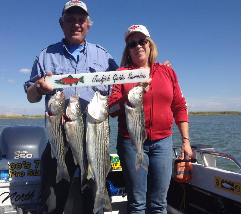 Striper@Sacramento/SanJoaquin Delta