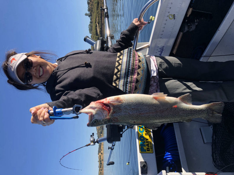 Pardee Trout 6/19/18