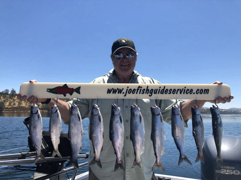 Pardee Kokanee 7/24/18