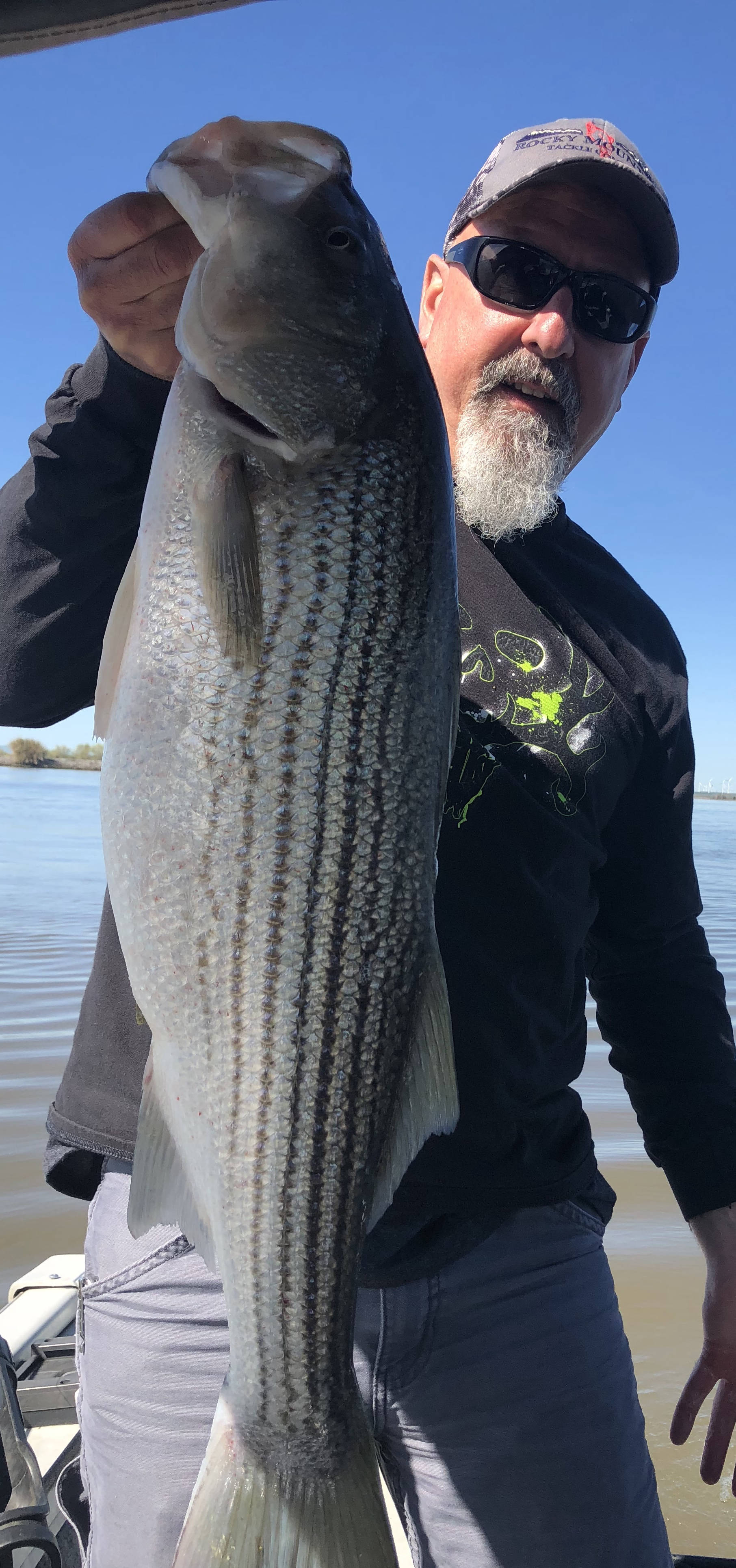 Delta Striper 14.3lbs. 3/29/18