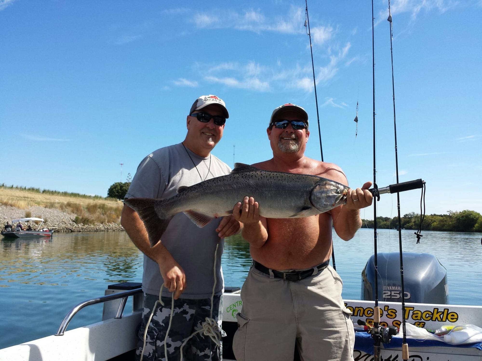 Salmon@Sacramento/SanJoaquin Delta