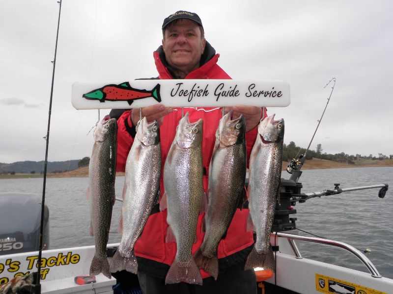 Trout@Melones